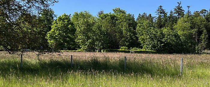 Freizeitangebote